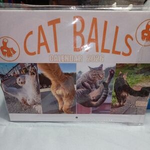 Cat Balls 2026 Calendar